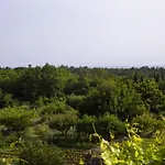 Stonehome Pojata Mocici