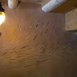 Stonehome Pojata