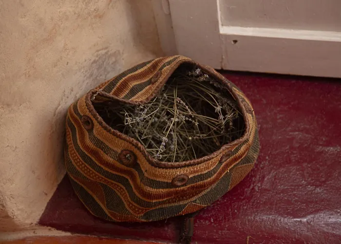 Stonehome Pojata Mocici